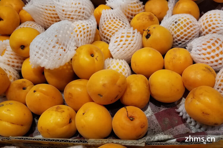 含维c最多的水果排行榜(维生素c水果前十名)-硒宝网