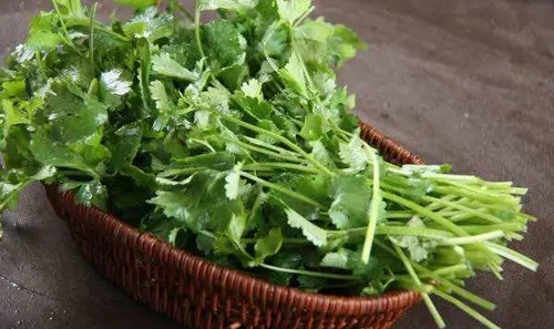 十大强碱性食物排名(最好的碱性食物)-硒宝网