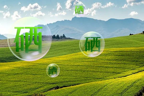 富硒农业是什么意思（富硒功能农业的介绍）-硒宝网