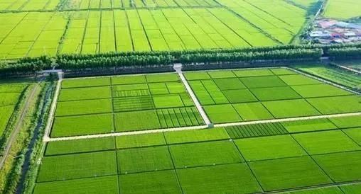 富硒农业是什么意思（富硒功能农业的介绍）-硒宝网