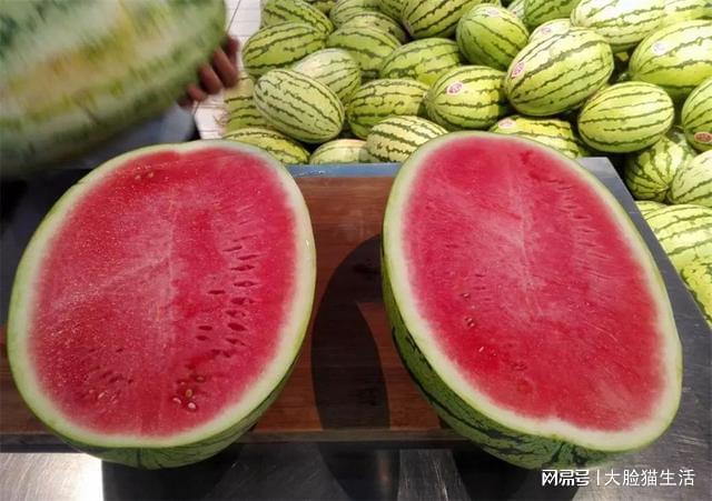 硒砂瓜产地都在哪里(硒砂瓜产量)-硒宝网