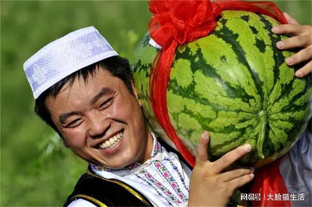 硒砂瓜产地都在哪里(硒砂瓜产量)-硒宝网