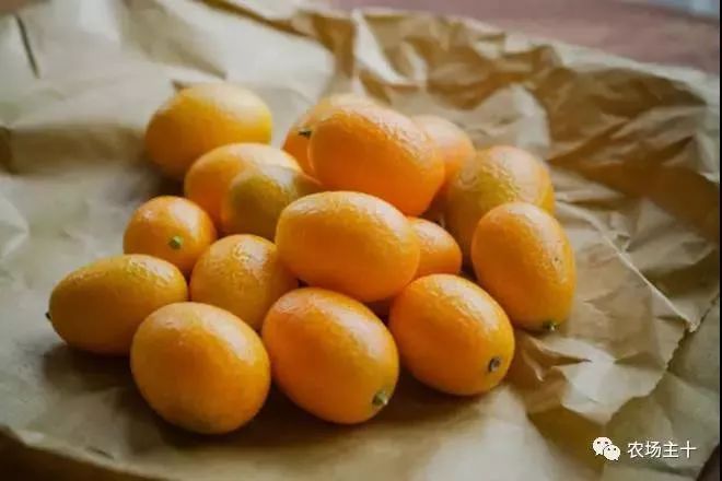 富硒是什么意思(富硒食品是什么)-硒宝网