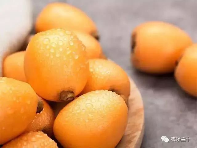 富硒是什么意思(富硒食品是什么)-硒宝网