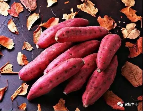 富硒是什么意思(富硒食品是什么)-硒宝网