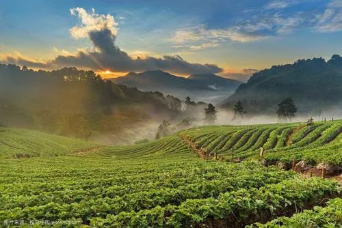 中国含富硒三大地方（中国富硒地带）-硒宝网