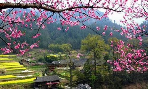 中国含富硒三大地方（中国富硒地带）-硒宝网