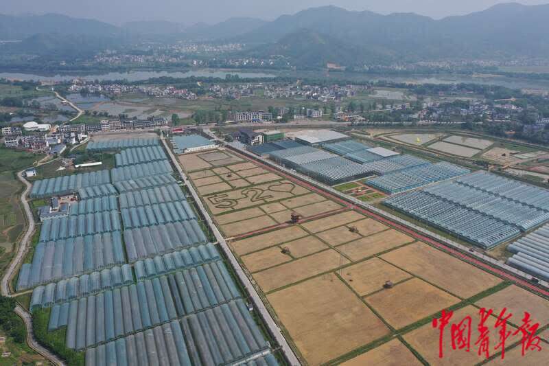 中国富硒第一村(中国富硒产业)-硒宝网