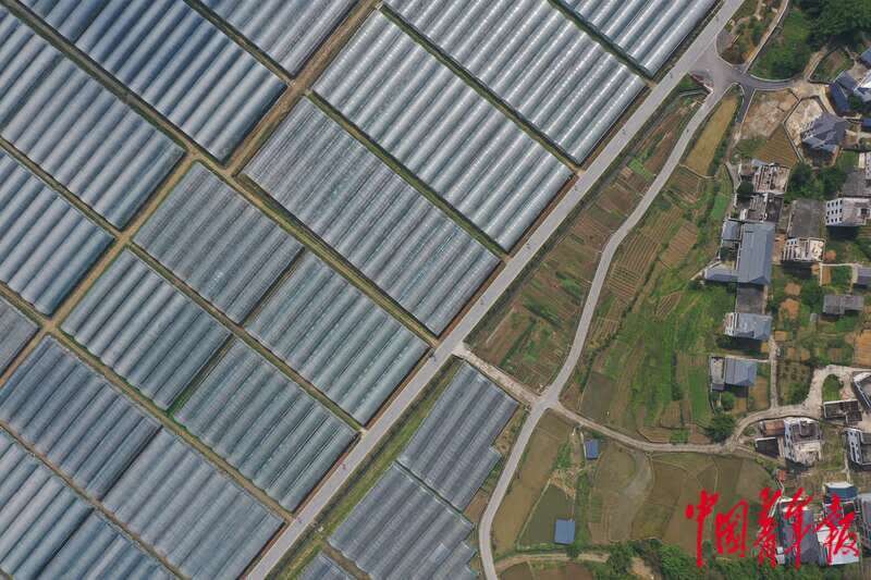 中国富硒第一村(中国富硒产业)-硒宝网