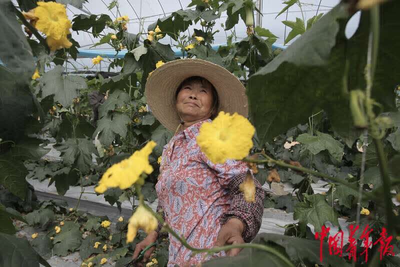 中国富硒第一村(中国富硒产业)-硒宝网