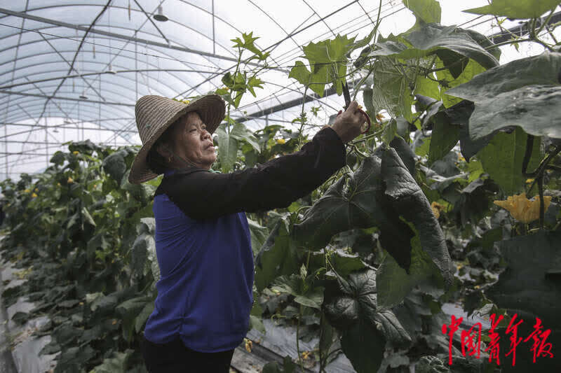 中国富硒第一村(中国富硒产业)-硒宝网