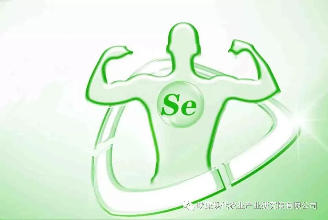 富硒鸡蛋是真的吗(富硒鸡蛋含硒吗)-硒宝网