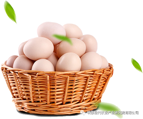 富硒鸡蛋是真的吗(富硒鸡蛋含硒吗)-硒宝网