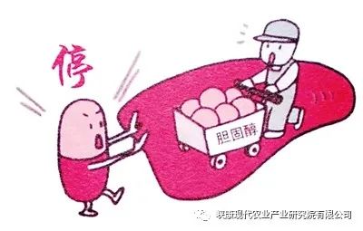 富硒鸡蛋是真的吗(富硒鸡蛋含硒吗)-硒宝网