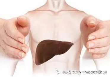 富硒鸡蛋是真的吗(富硒鸡蛋含硒吗)-硒宝网