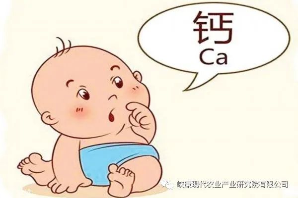 富硒鸡蛋是真的吗(富硒鸡蛋含硒吗)-硒宝网