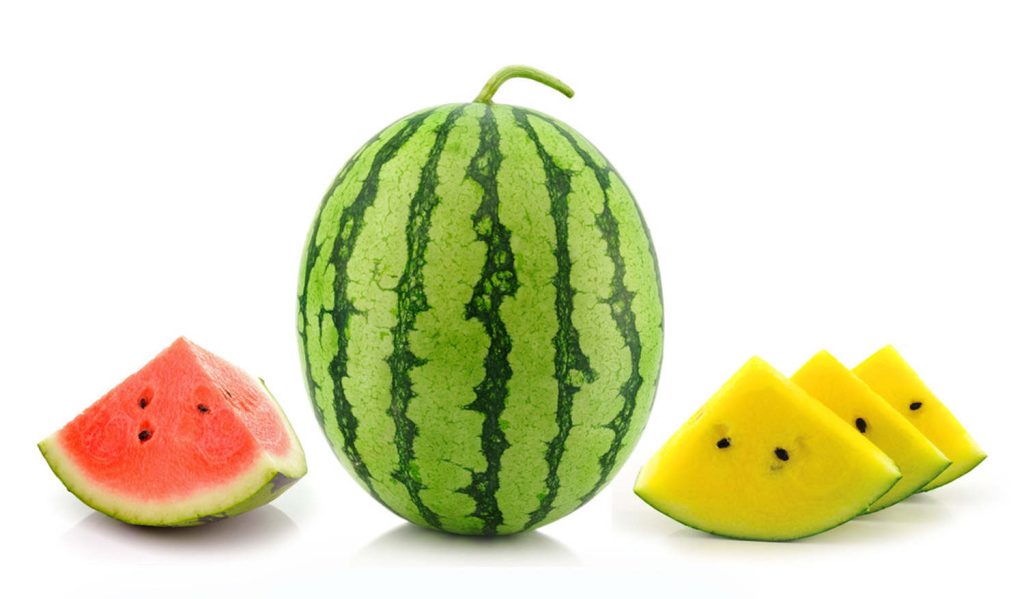 宁夏富硒瓜(中卫富硒硒砂瓜)-硒宝网