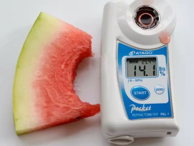 中卫硒砂瓜特点（宁夏优质硒砂瓜价格走势）-硒宝网