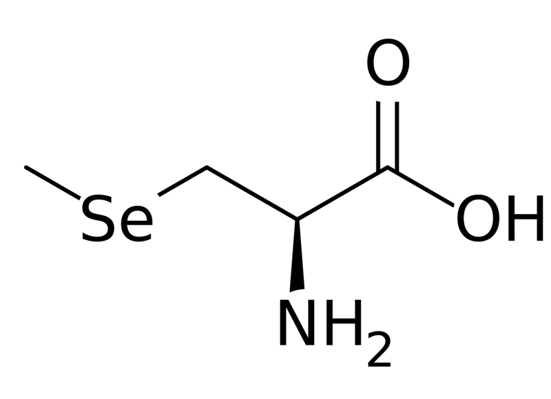 硒代半胱氨酸怎么读（硒代半胱氨酸在人体中存在吗）-硒宝网