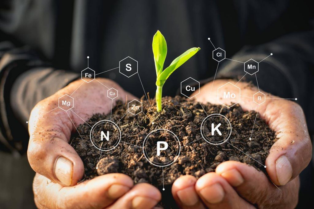 富硒土壤有什么好处（富硒土的作用及功能）-硒宝网