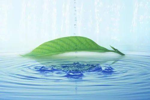 全国最好的富硒水在哪(哪里的富硒水最好)-硒宝网