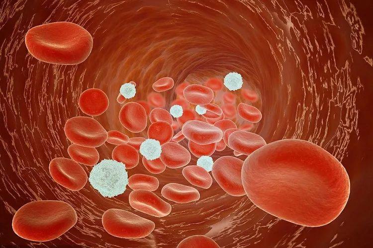 硒对男人性功能的作用（硒对男性健康能有帮助吗）-硒宝网