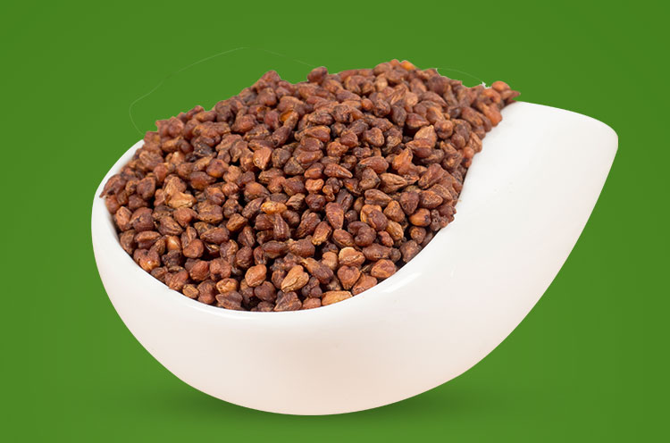 富硒荞子茶是苦荞茶吗（天然硒荞子茶与苦荞茶的区别）-硒宝网