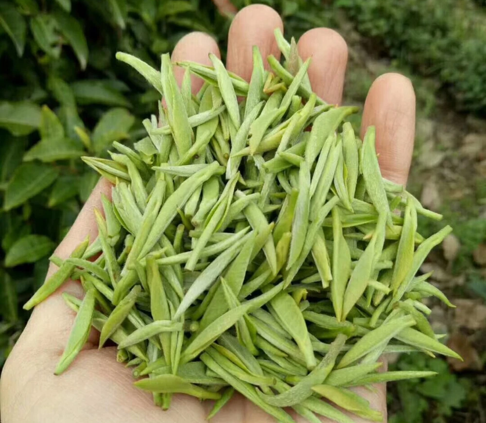 富硒茶哪里产的最好?(富硒茶哪个产地最好)-硒宝网