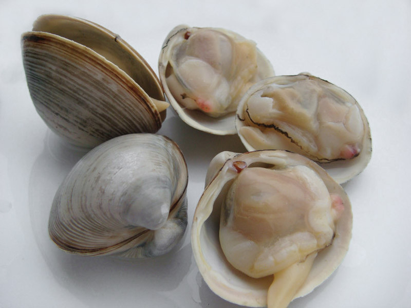 富硒食物排行榜前十名(补硒最佳10种食物)-硒宝网