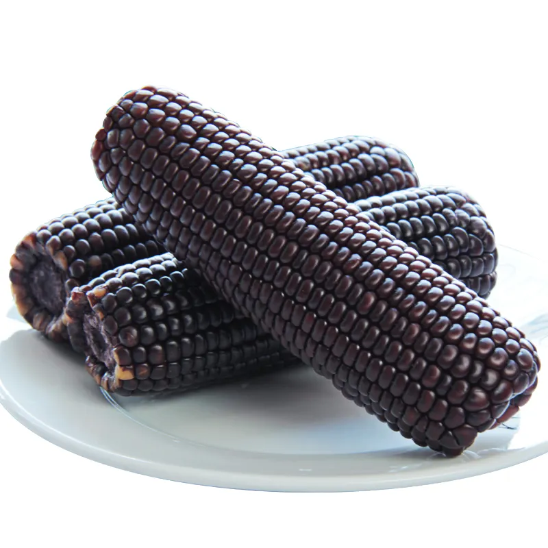 富硒黑玉米的功效与作用(富硒玉米是真的吗)-硒宝网