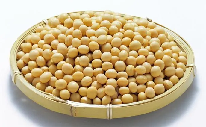 富硒黄豆和普通黄豆的区别(富硒黄豆和普通黄豆一样吗)-硒宝网