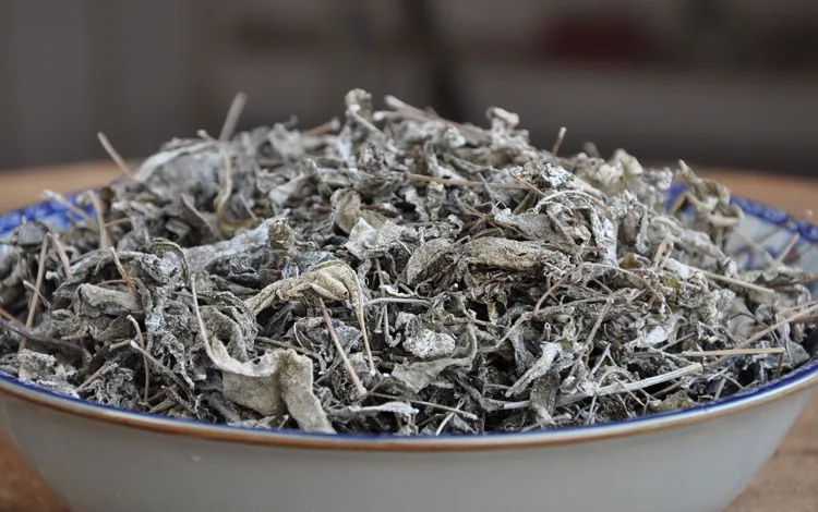 土家莓茶降三高是真的吗?(土家莓茶的作用与坏处)-硒宝网