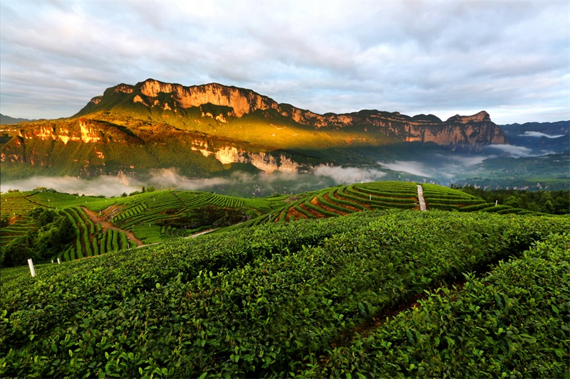 中国硒都是哪个城市（中国哪里是高硒地区）-硒宝网