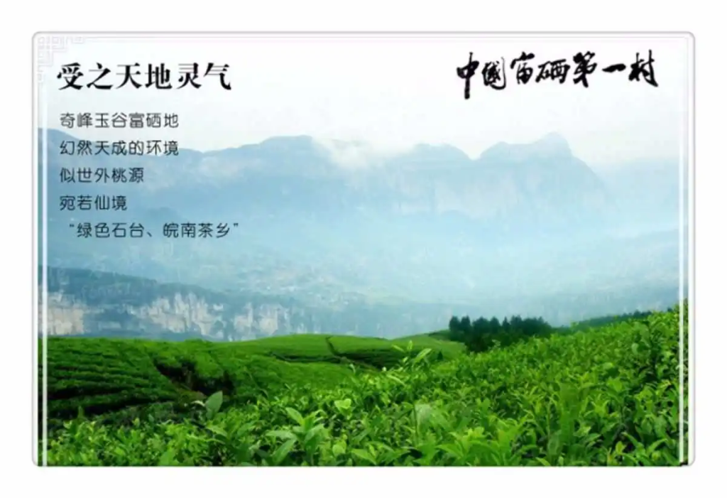 中国富硒茶之都是哪里（富硒茶哪里产的最好）-硒宝网