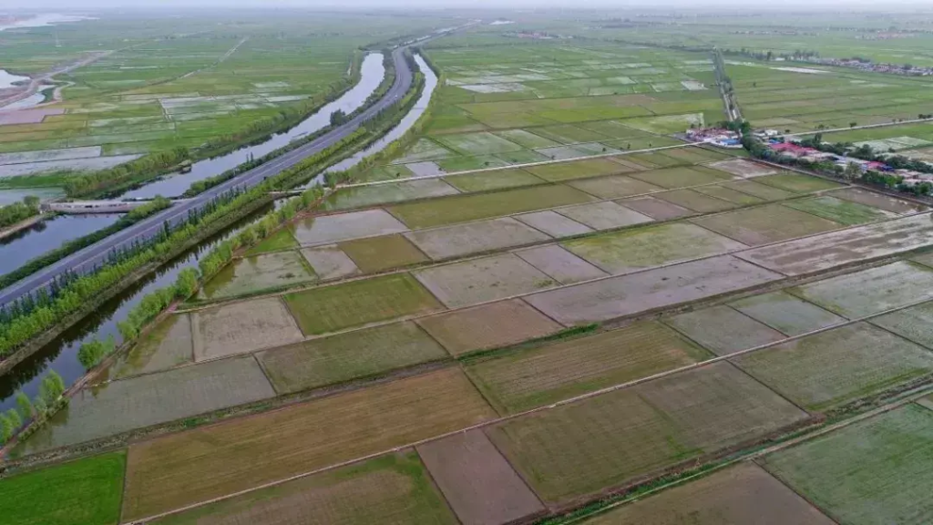 硒砂瓜产地都在哪里(硒砂瓜产业历史及品种特点)-硒宝网