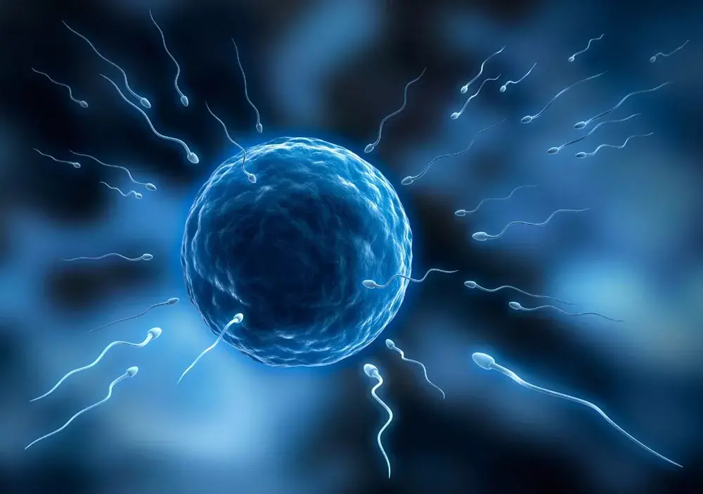 富硒是什么东西(什么东西硒含量特别高)-硒宝网