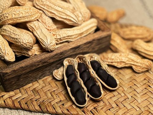 富硒黑花生和普通花生的区别(富硒黑花生的营养价值)-硒宝网