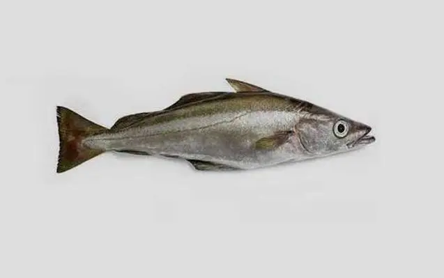 含硒高的食物排名:探索营养之王(含硒高的前十名食物)-硒宝网