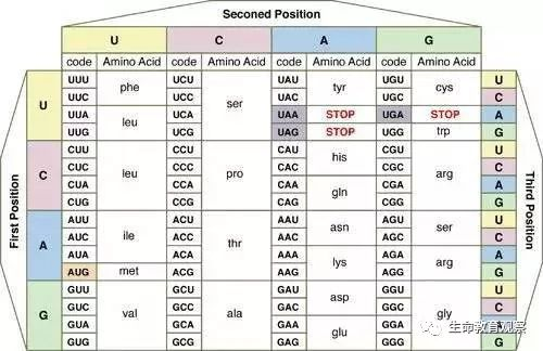 硒代半胱氨酸作用（作用机理和理化性质）-硒宝网