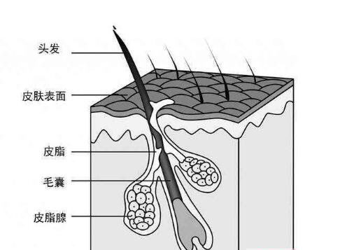 二硫化硒洗剂的正确用法（长期使用有副作用吗）-硒宝网