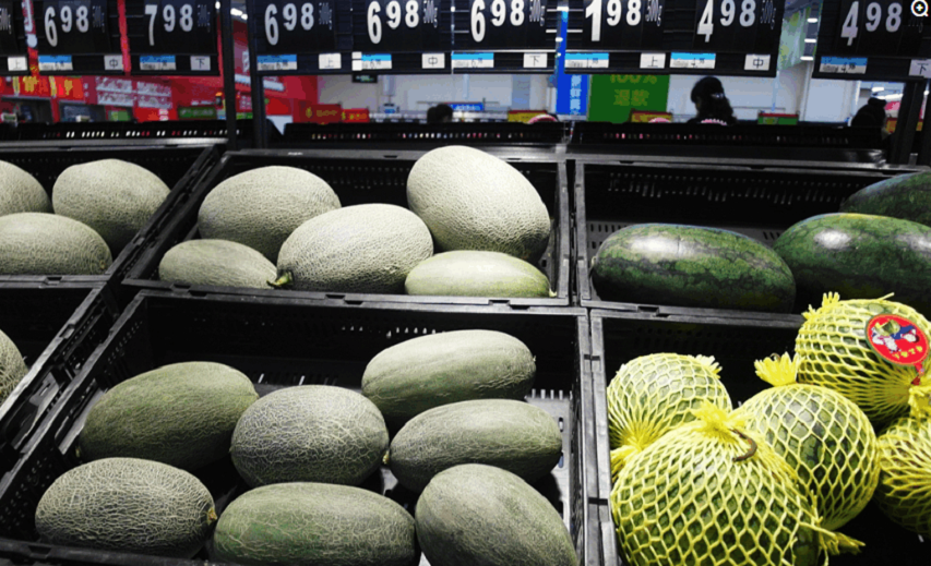 戈壁西瓜危害有多大(为什么会被禁种)-硒宝网