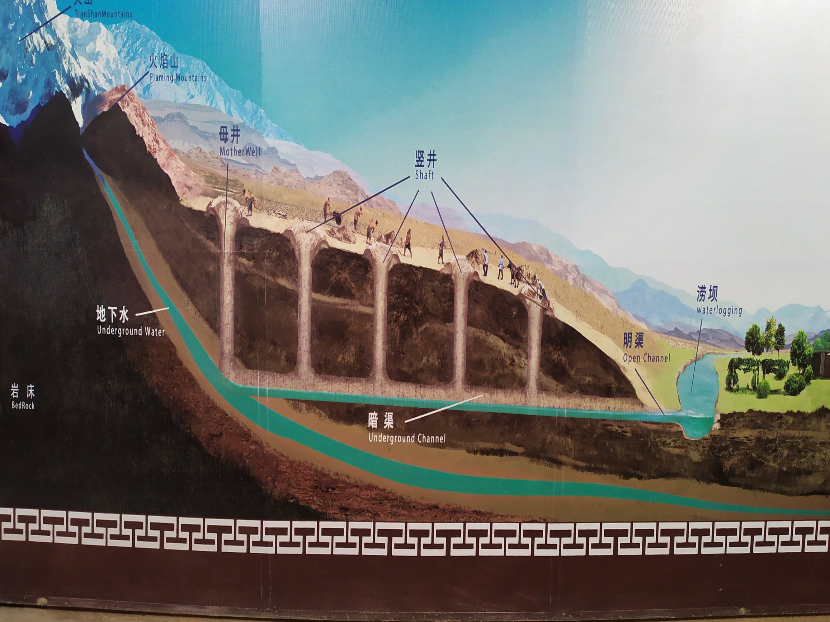 戈壁西瓜危害有多大(为什么会被禁种)-硒宝网