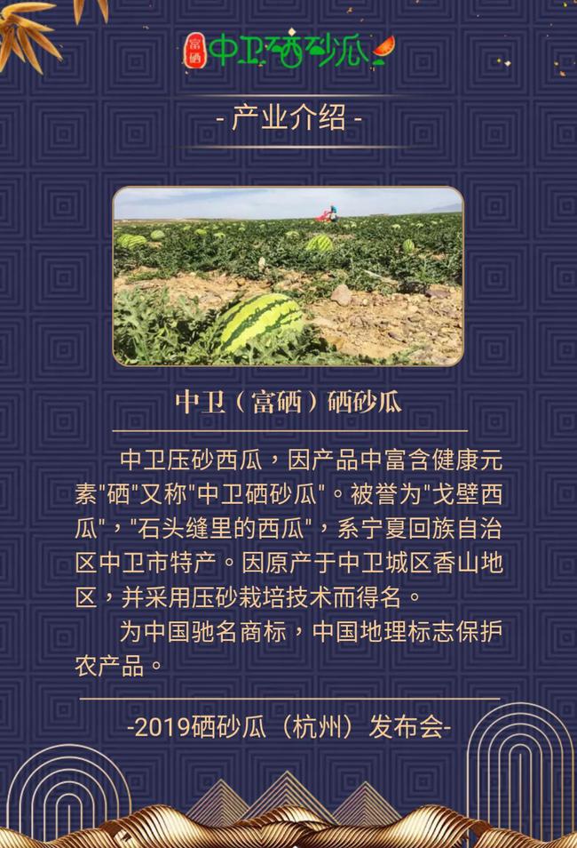 宁夏中卫硒砂瓜（中宁硒砂瓜是什么瓜）-硒宝网