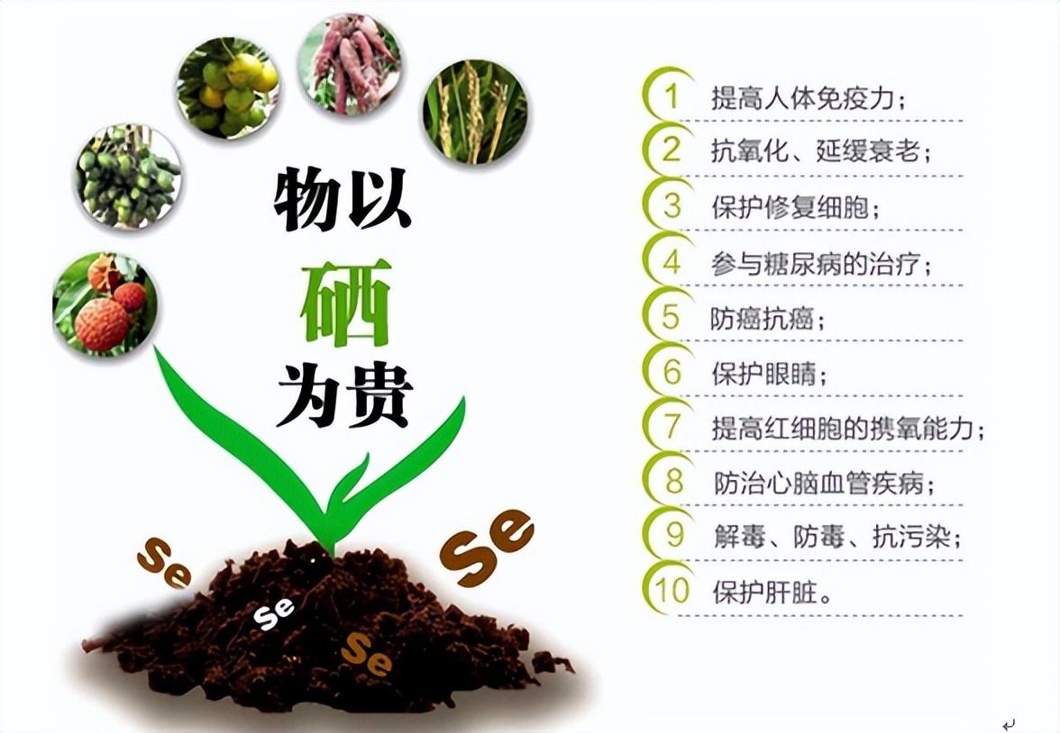 硒在人体中起什么作用(人体中硒的作用)-硒宝网
