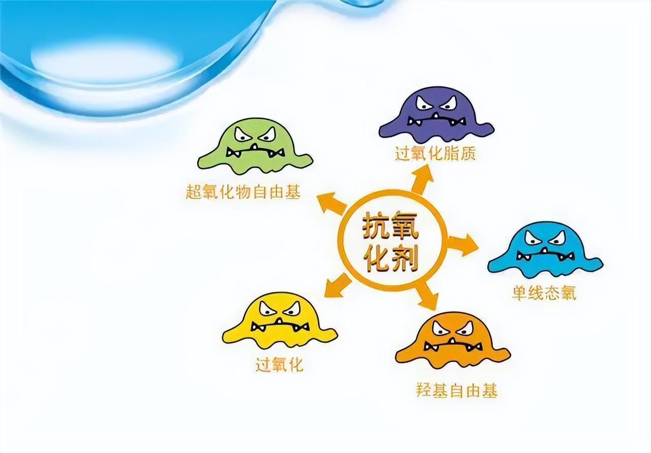 硒在人体中起什么作用(人体中硒的作用)-硒宝网