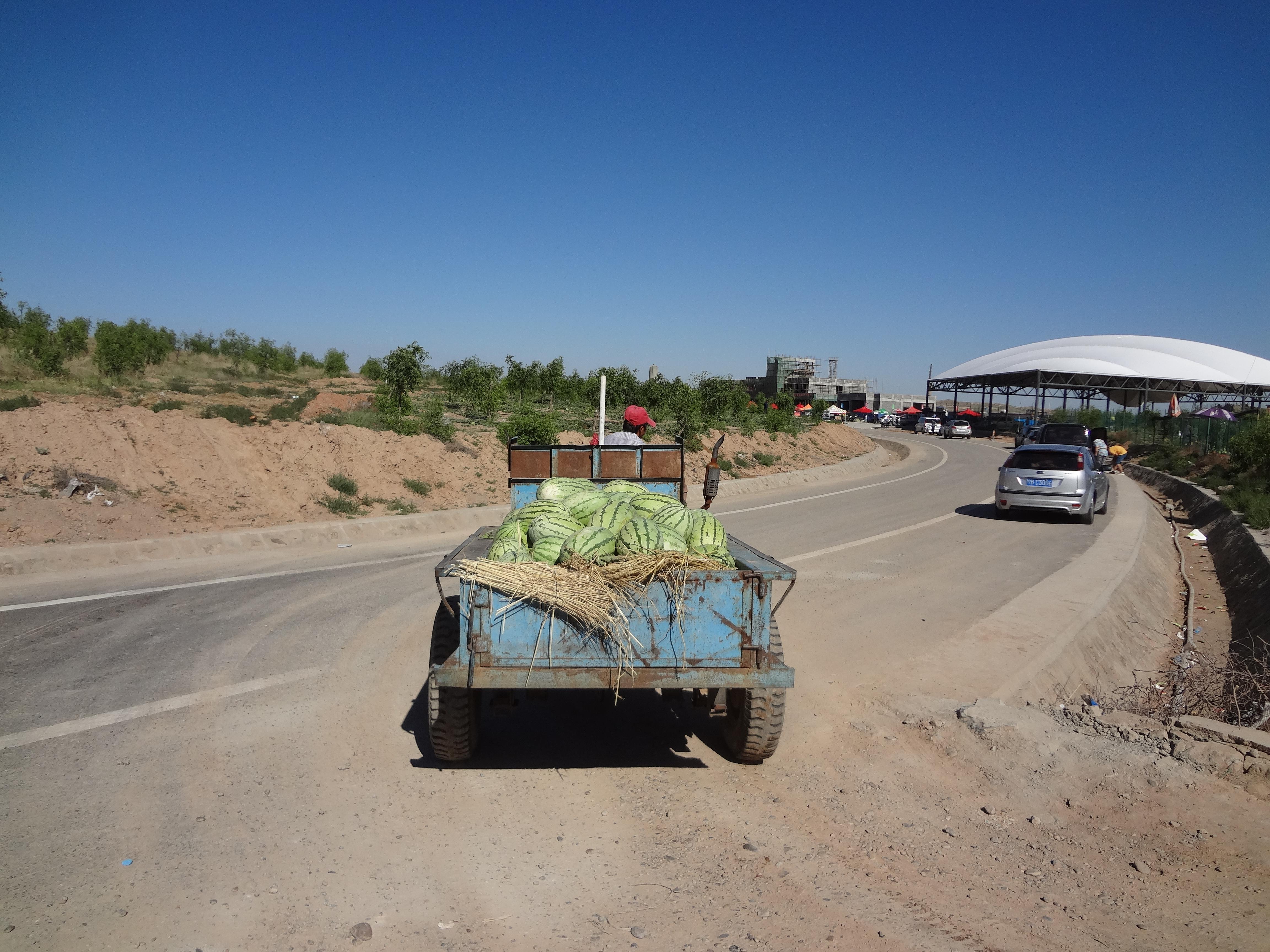 宁夏中卫硒砂瓜(中卫市硒砂瓜基地)-硒宝网