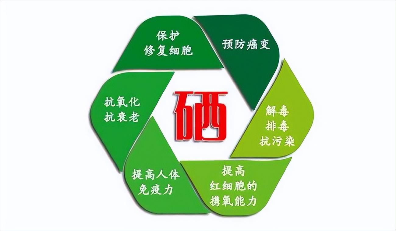 硒在人体中起什么作用（硒在人体中三大作用机理是什么）-硒宝网