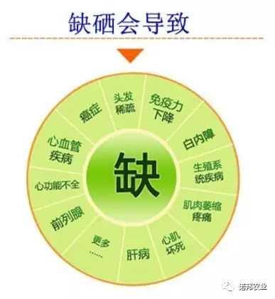 天然富硒食品(天然富硒食品硒含量分类标准)-硒宝网