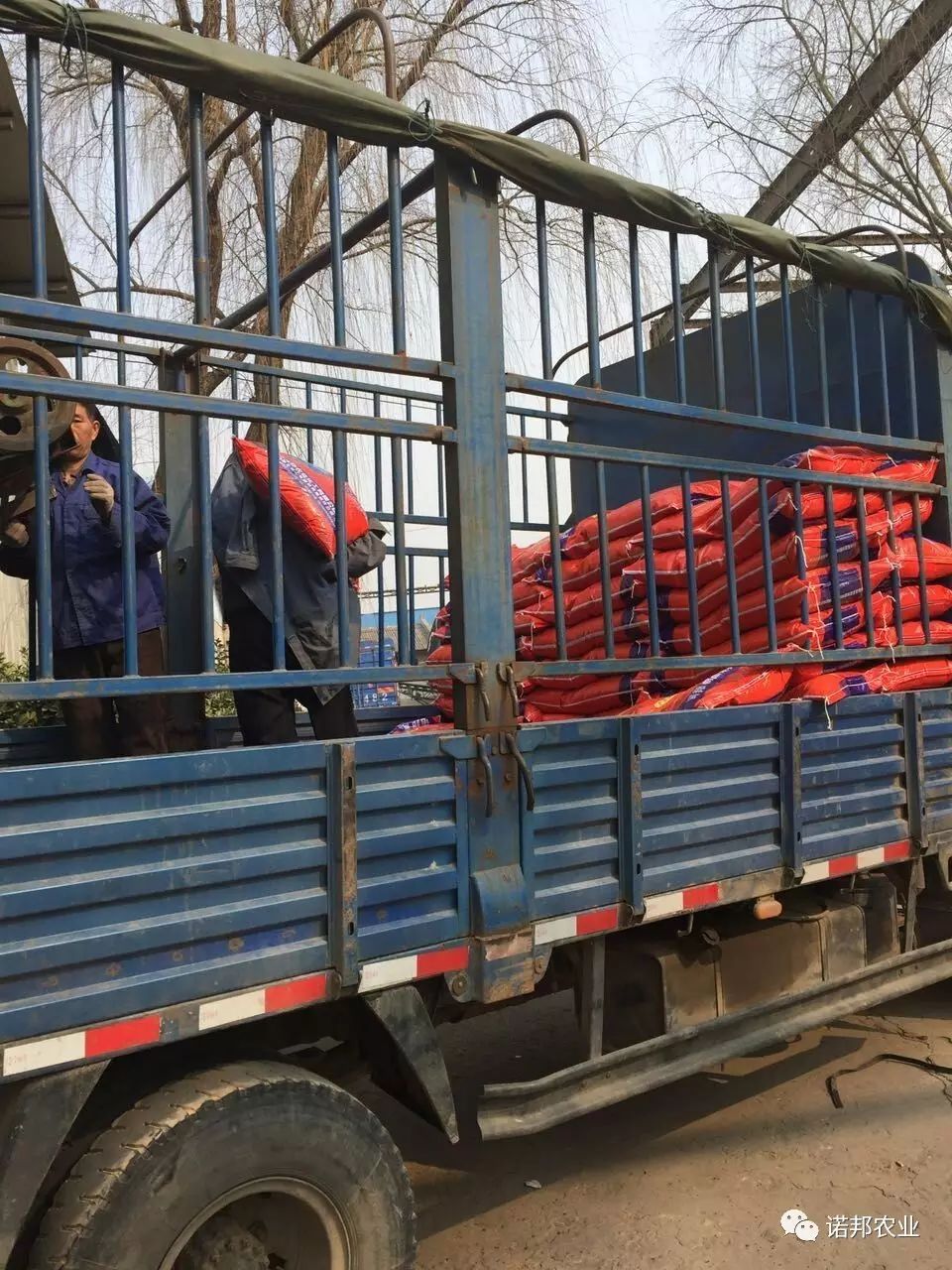 天然富硒食品(天然富硒食品硒含量分类标准)-硒宝网