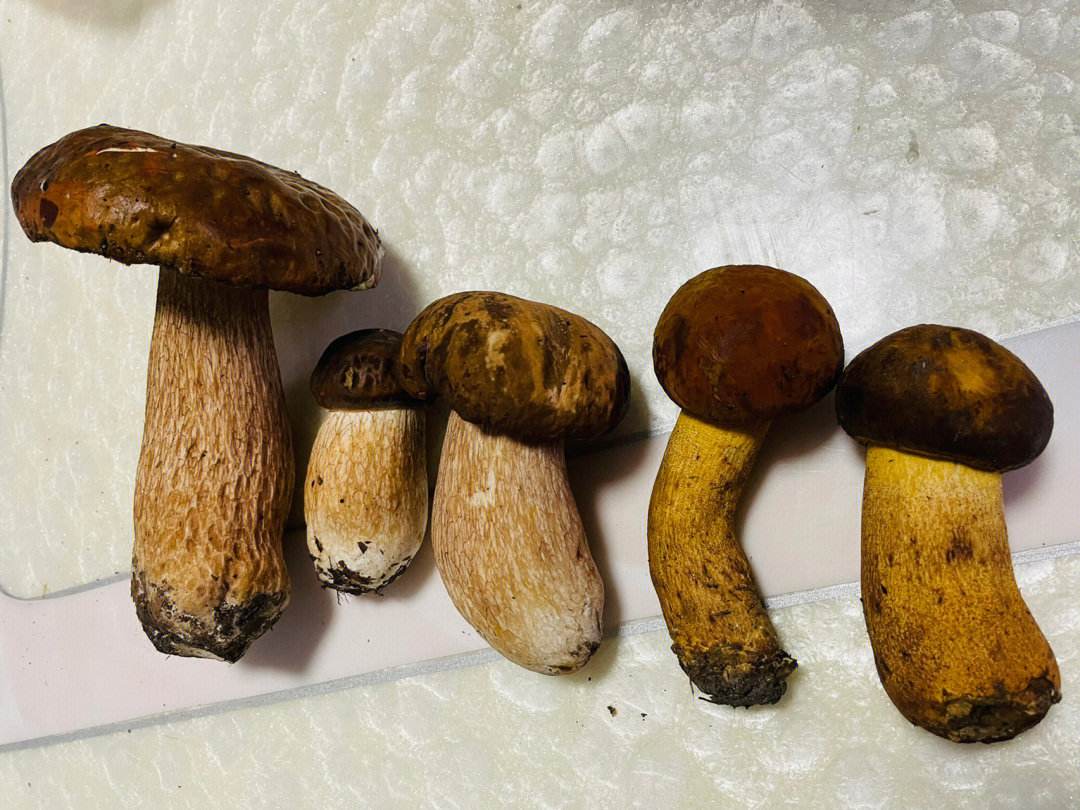 硒在人体中起什么作用(人体起作用硒中毒怎么办)-硒宝网